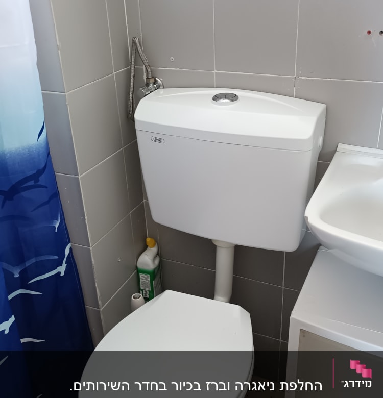 אסלה עם מיכל הדחה, צינור מים ומברשת ניקוי